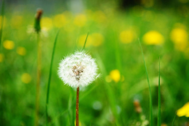 Similar image 972833