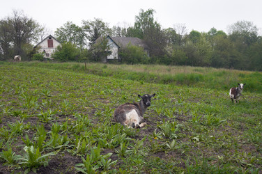 Similar image 972859