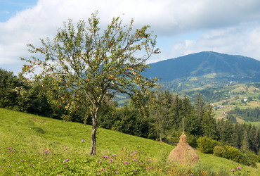 Similar image 972873