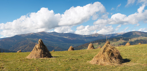 Similar image 972924