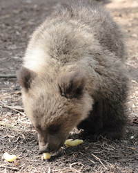 Similar image 973000