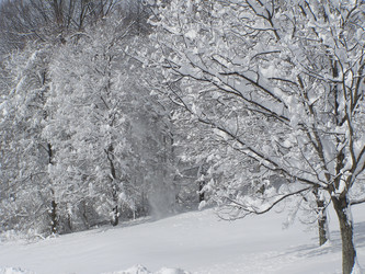 Similar image 973035