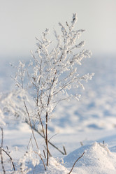 Similar image 973038