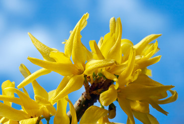 Similar image 973100