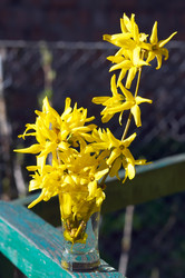 Similar image 973108