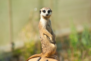 Similar image 973111