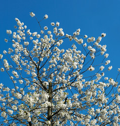 Similar image 973119