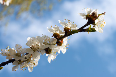 Similar image 973125