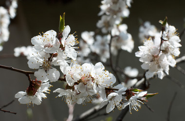 Similar image 973129