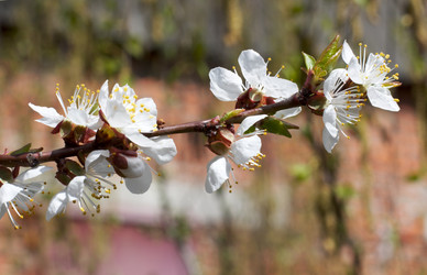 Similar image 973130