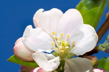 Similar image 973133