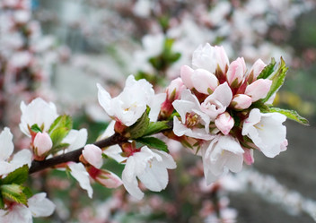 Similar image 973140