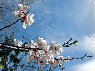 Similar image 973148