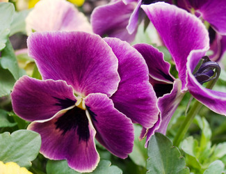 Similar image 973174