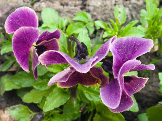 Similar image 973175