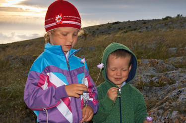 Similar image 973177