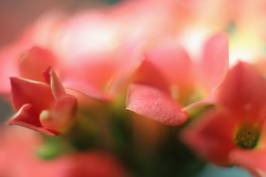 Similar image 973178