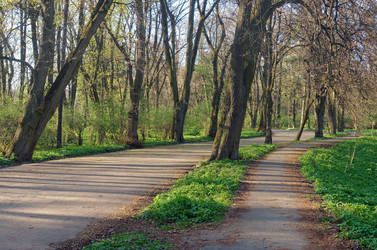 Similar image 973209