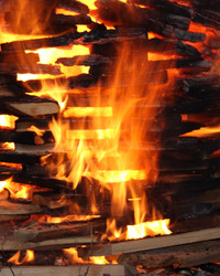 Similar image 973224