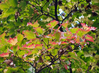 Similar image 973244