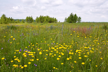 Similar image 973245