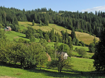 Similar image 973265