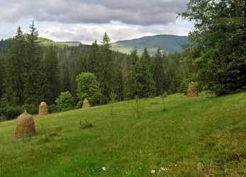 Similar image 973302