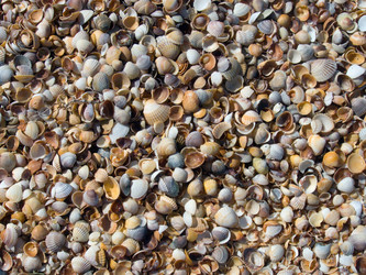 Similar image 973311