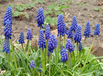 Similar image 973312