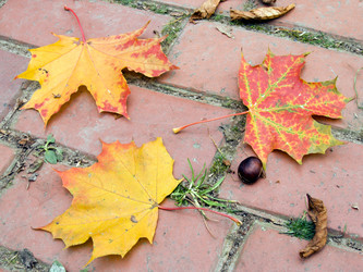 Similar image 973348