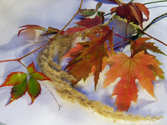 Similar image 973350