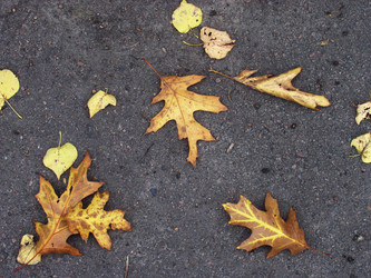 Similar image 973357