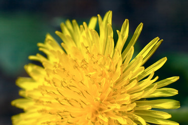 Similar image 973360