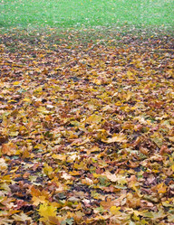 Similar image 973365