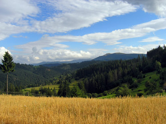 Similar image 973366