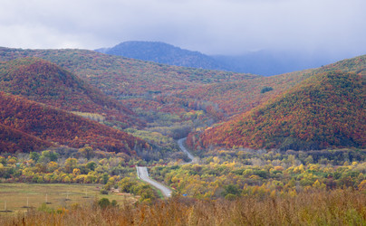 Similar image 973368