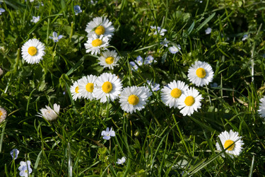 Similar image 973378