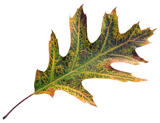 Similar image 973379