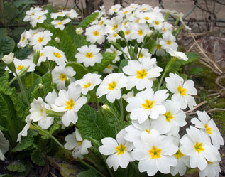 Similar image 973382