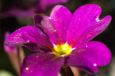 Similar image 973387