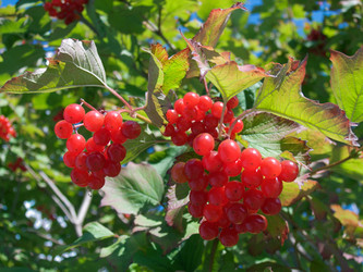 Similar image 973393