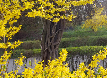 Similar image 973394