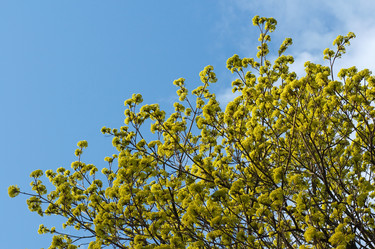 Similar image 973399