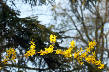 Similar image 973401