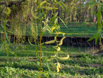 Similar image 973407