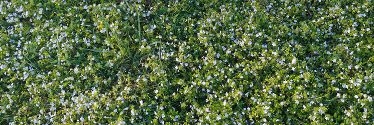 Similar image 973408