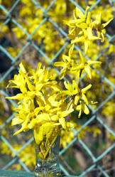 Similar image 973430