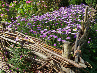 Similar image 973439