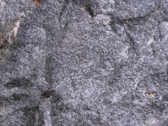 Similar image 973460