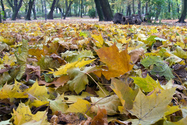 Similar image 973486